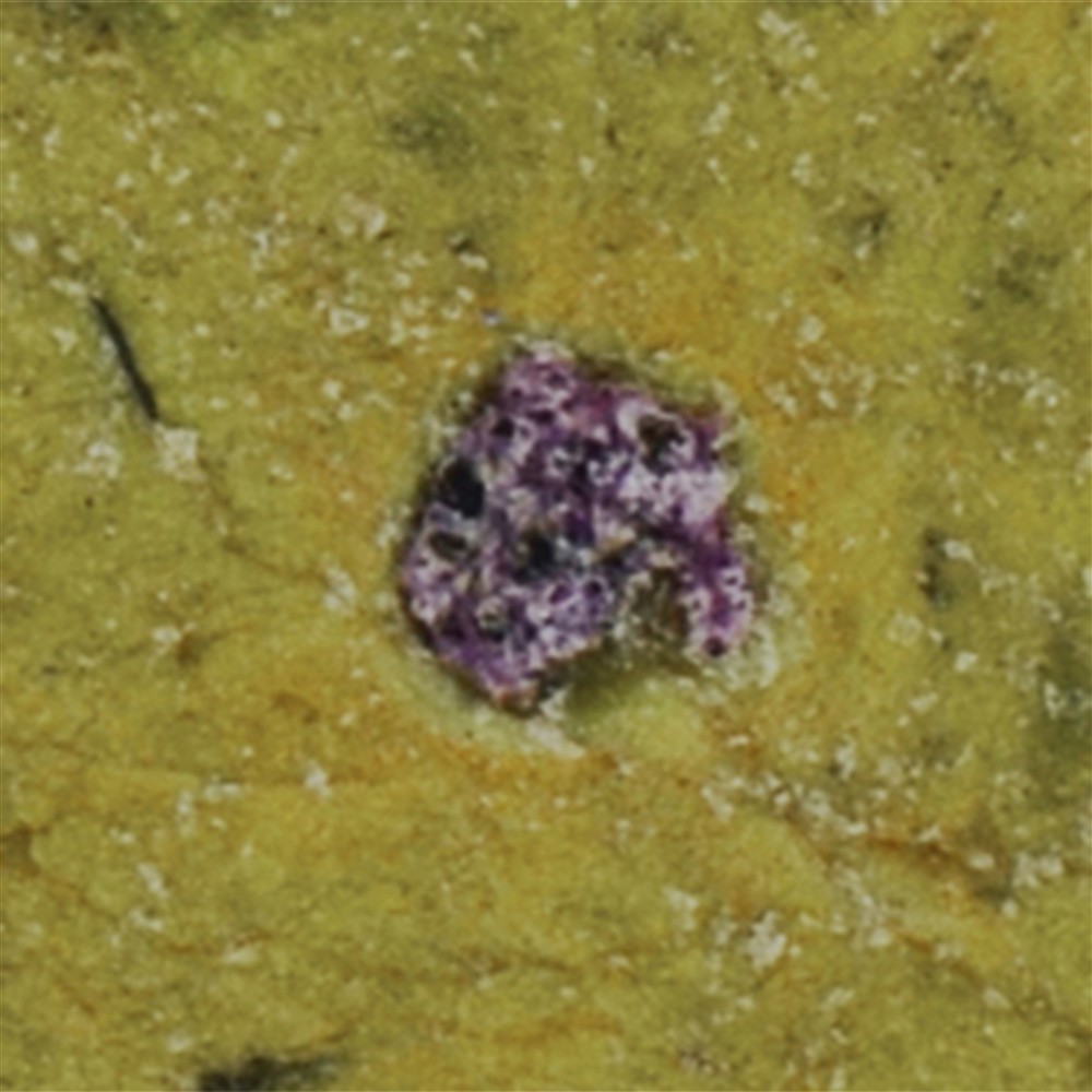 Pietra disco di stichtite in extra serpentino | Marco Schreier