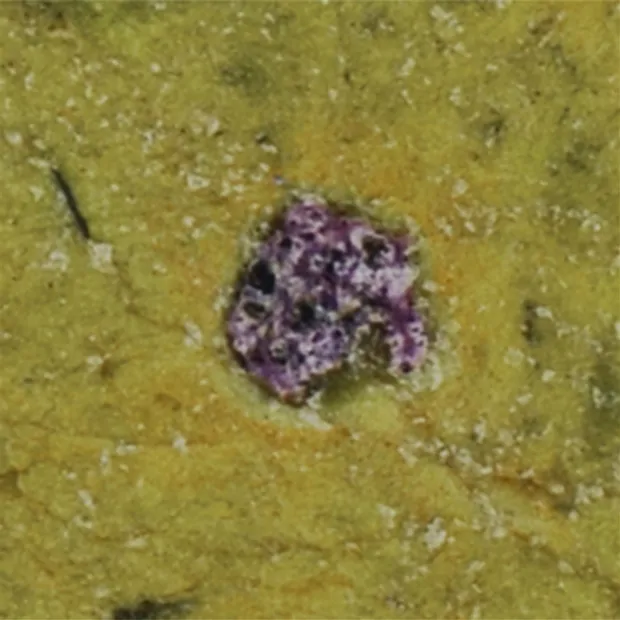 Smooth Stone Stichtit in Serpentine extra | wholesaler gems & healing stones