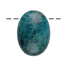 0402095604 Cabochon ovale apatite (stab.) percé, 2,5cm | Marco Schreier