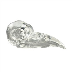 0403593551 Cr&#xE2;ne d&#x27;oiseau &quot;Raven Skull&quot; Cristal de roche perc&#xE9;, environ 05cm | Marco Schreier