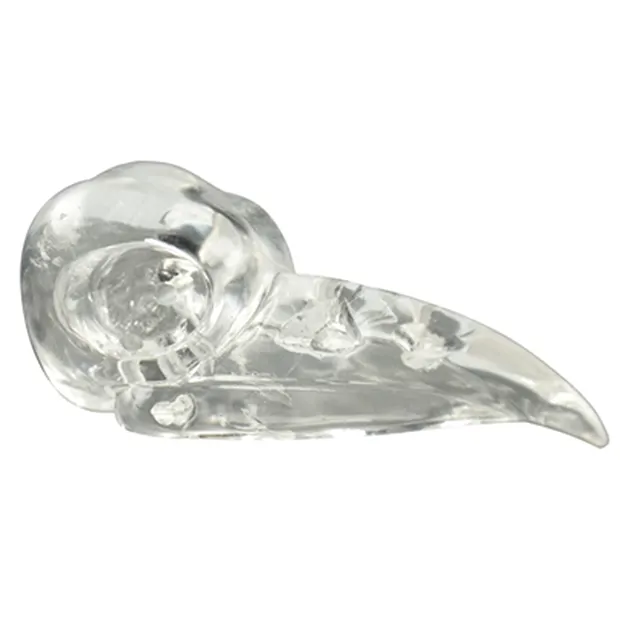 Crâne d'oiseau "Raven Skull" Cristal de roche percé, environ 07cm | Marco Schreier