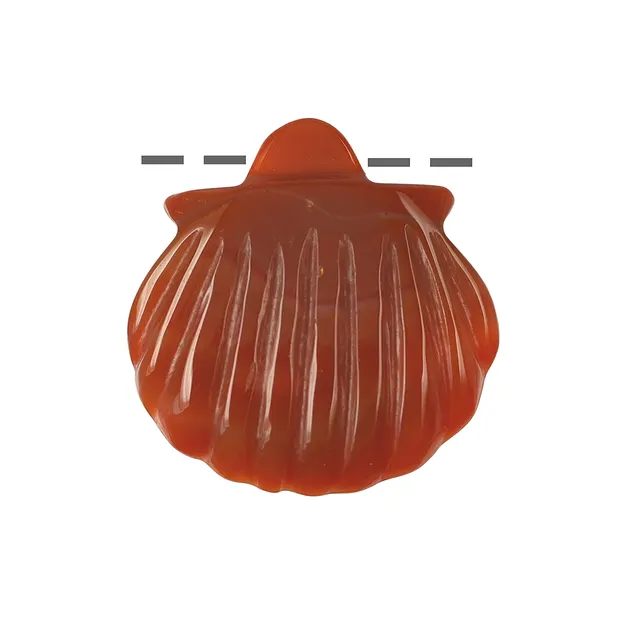 Shell carnelian (heated) drilled, 4cm | wholesale gems, healing stones & jewelry