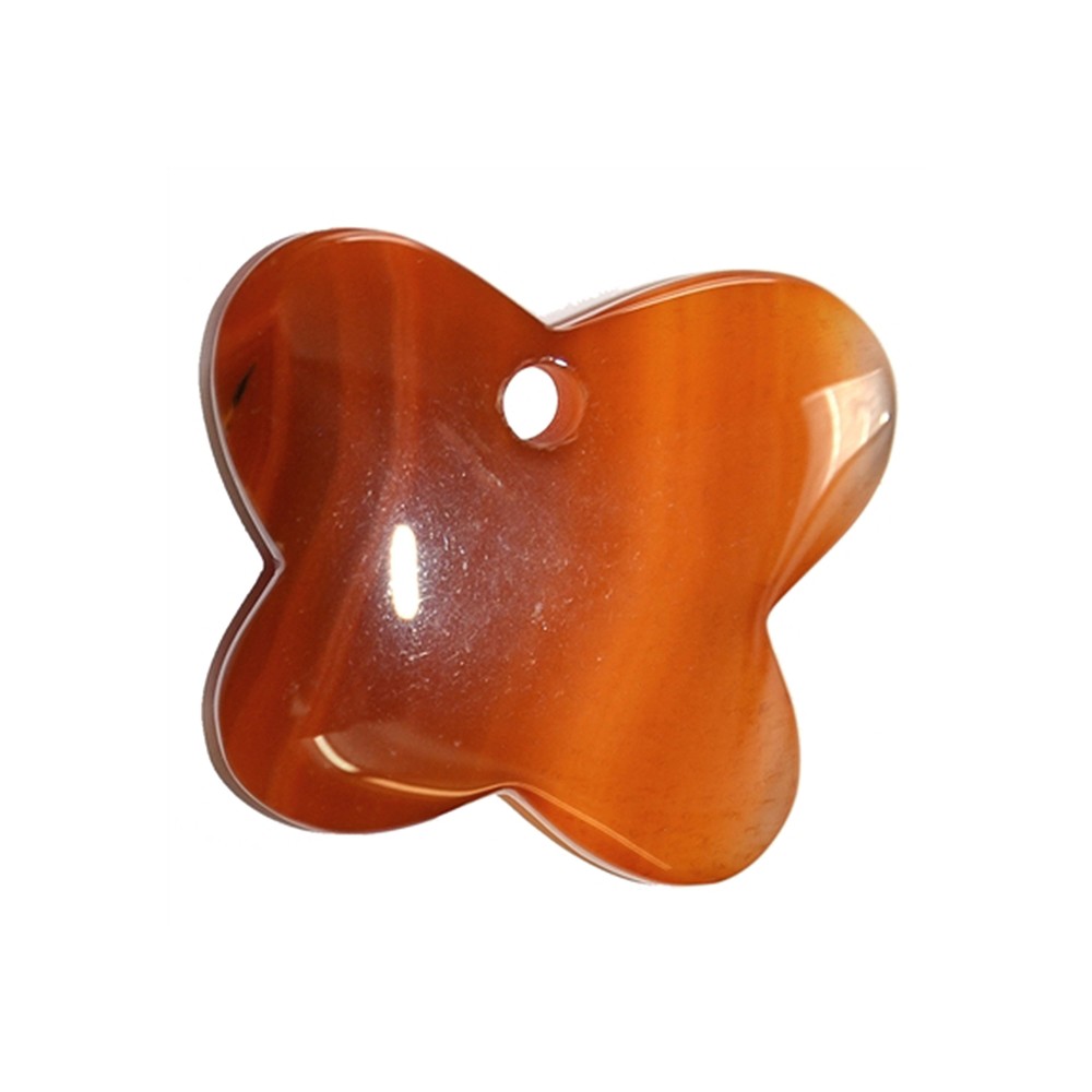 Farfalla in corniola (bruciata) forata anteriormente, 4,2 cm | Marco Schreier