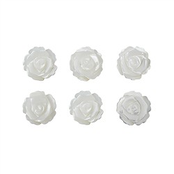 0417598101 Madre Perla (Nácar) rosa (claro), 08mm (6 uds./VE), perforado en la parte posterior | Marco Schreier