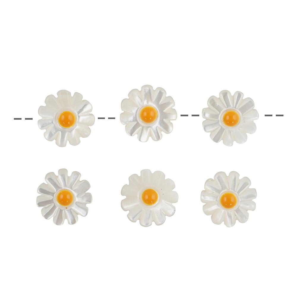 Marguerite percée en nacre, 10mm, trou de 1mm (6 pcs/UC) | Marco Schreier