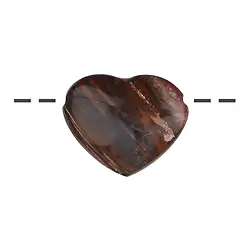 0418790625 Cuore di Foresta fossile forato, 2,5 x 3,0 cm | Marco Schreier