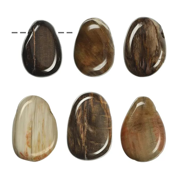 Trommelstein versteinertes Holz gebohrt | GH Edelsteine, Heilsteine & Schmuck