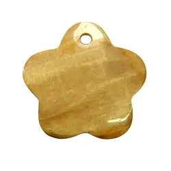 0418796048 Petrified Wood flower front drilled, 4,8cm | wholesaler gems & healing stones