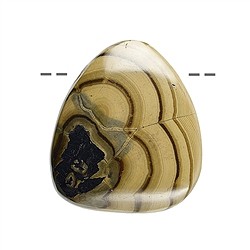 0420795804 Apertura di conchiglia cabochon forata, 3,5 - 4,0 cm (XL) | Marco Schreier