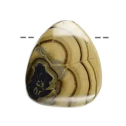 0420795804 Cabochon Schalenblende gebohrt, 3,5 - 4,0 cm (XL) | Marco Schreier