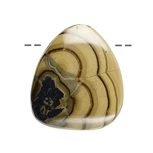 Cabochon Schalenblende gebohrt, 3,5 - 4,0 cm (XL) | Marco Schreier