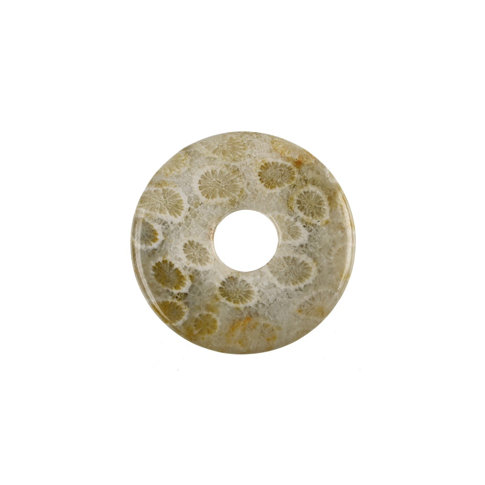 Petrified Coral donut, 30mm | Schreier wholesale; gems, healing stones & jewelry