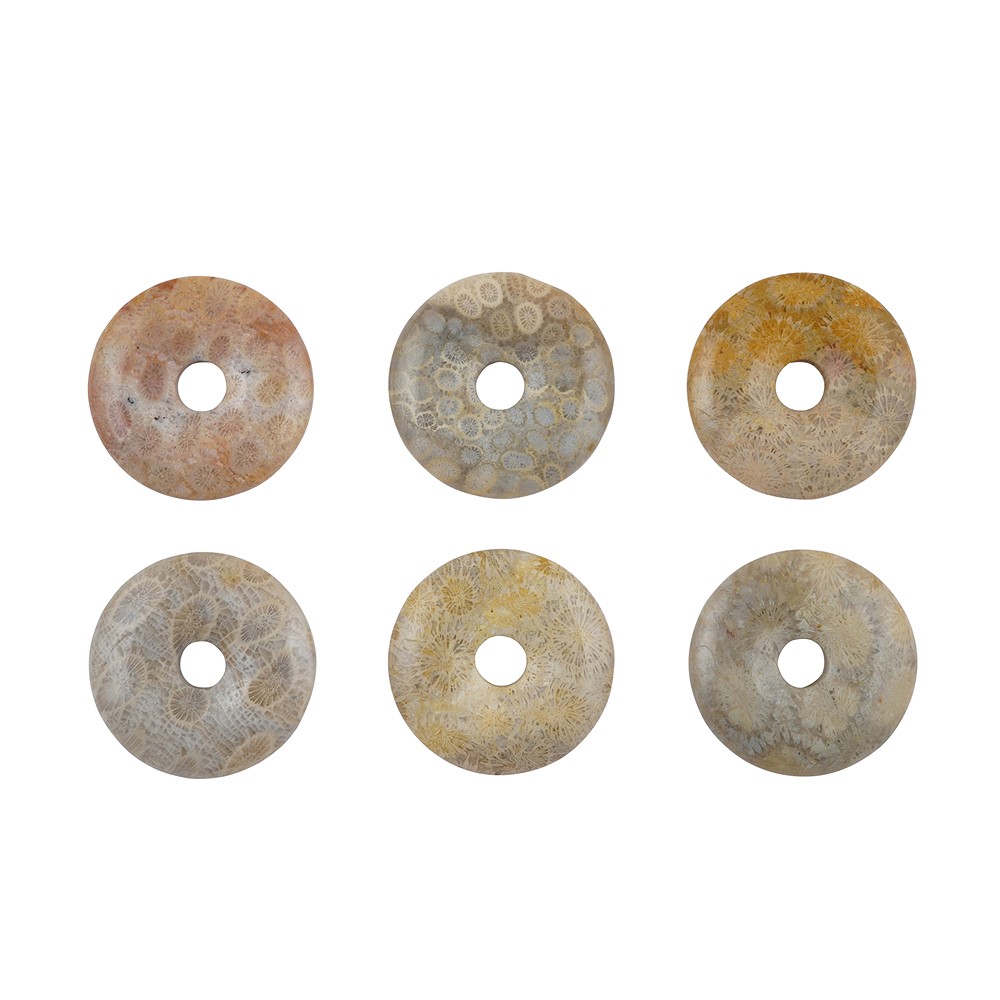 Petrified Coral donut, 40mm | Schreier wholesale; gems, healing stones &amp; jewelry