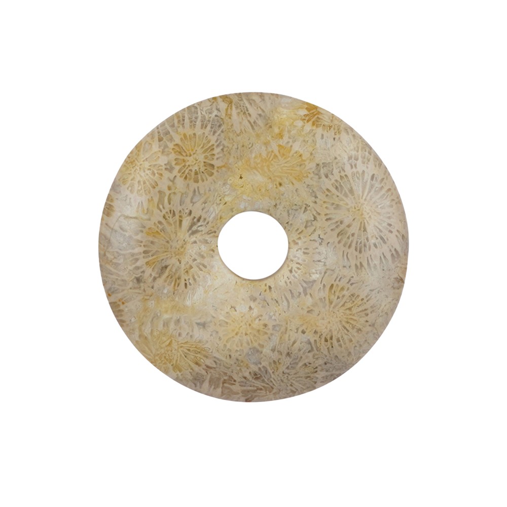 Petrified Coral donut, 40mm | Schreier wholesale; gems, healing stones &amp; jewelry