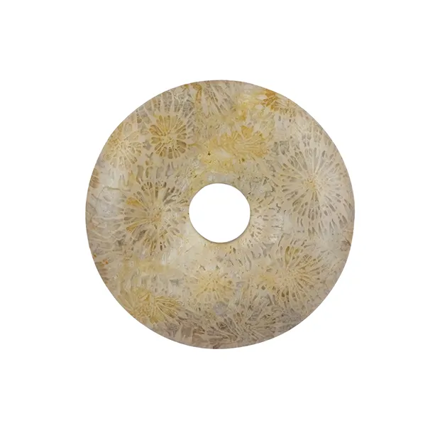 Ciambella di corallo pietrificato, 40 mm | grossista gemme e pietre curative