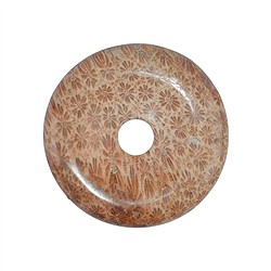 0424500450 Donut versteinerte Koralle, 45mm | Großhändler Edelsteine, Heilsteine & Schmuck