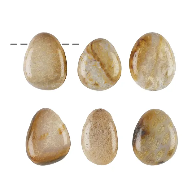 Pietra burattata forata Corallo pietrificato | grossista gemme e pietre curative