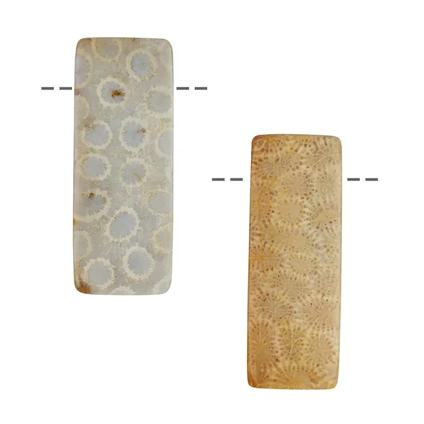 Cabochon rectangle drilled Petrified Coral, 4,1cm | Marco Schreier