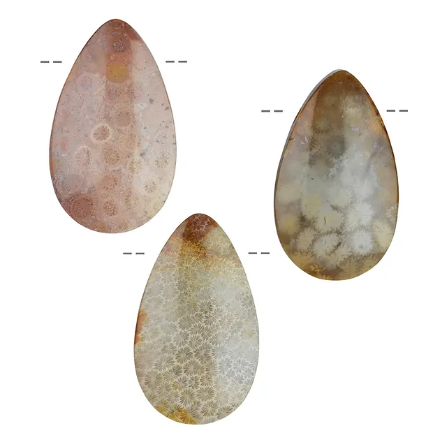 Cabochon Tropfen versteinerte Koralle gebohrt, 4,4cm | Marco Schreier