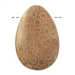 0424595614 Cabochon Tropfen versteinerte Koralle gebohrt, 4,4cm | Marco Schreier