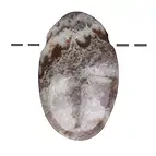 https://cdn.marcoschreier.com/content/productimages/0425692300_zoom.jpg