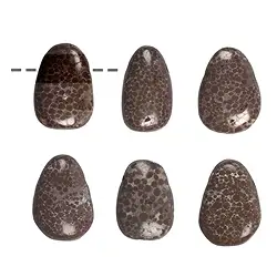 0427793002 Trommelstein Kalkoolith gebohrt | Großhändler Edelsteine, Heilsteine & Schmuck