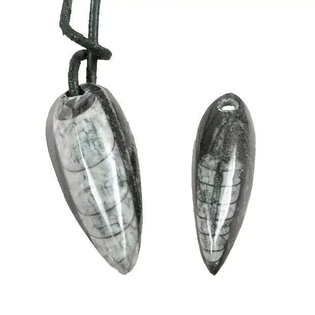 Orthoceras gebohrt, ca. 6 - 7cm | Großhändler Edelsteine, Heilsteine & Schmuck