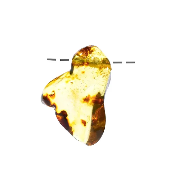 Tumbled Stone Copal cross drilled, 3,8 - 4,5cm | gems, healing stones & jewelry