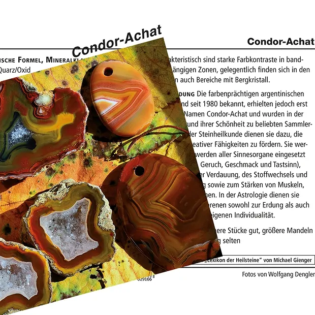 Ágata Placa (ágata cóndor) perforada frontalmente, 4,0 - 5,5cm | Marco Schreier