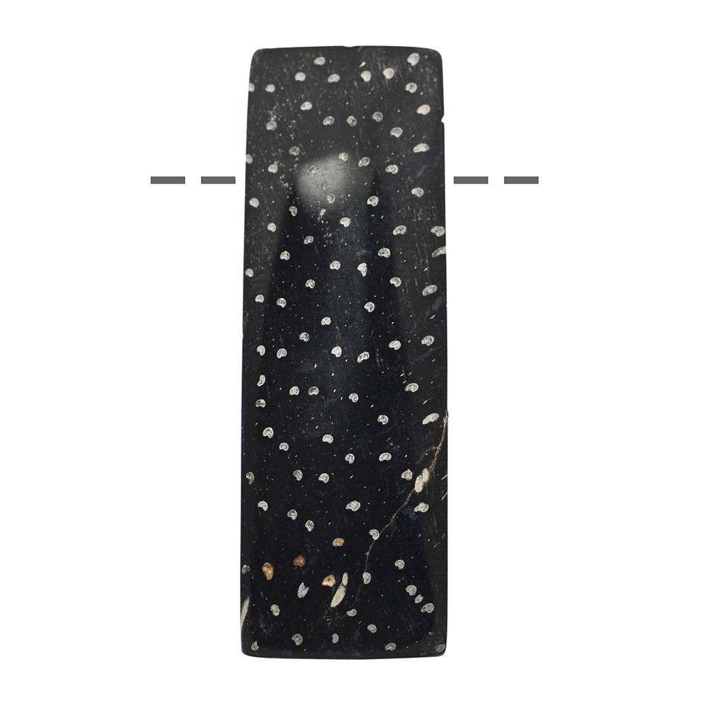 Cabochon Palmier pétrifié rectangle percé, 5,7cm | Marco Schreier