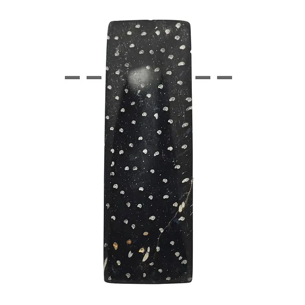 Cabochon versteinertes Palmholz Rechteck gebohrt, 5,7cm | Marco Schreier