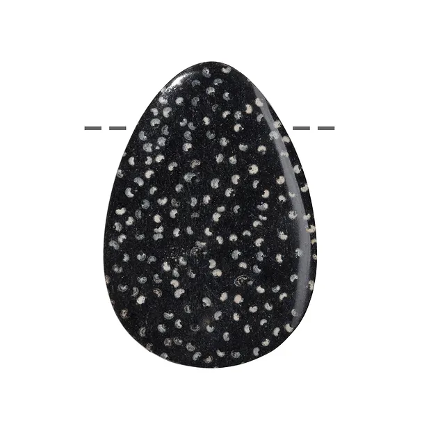 Cabochon Tropfen versteinertes Palmholz gebohrt, 4,0cm | Marco Schreier