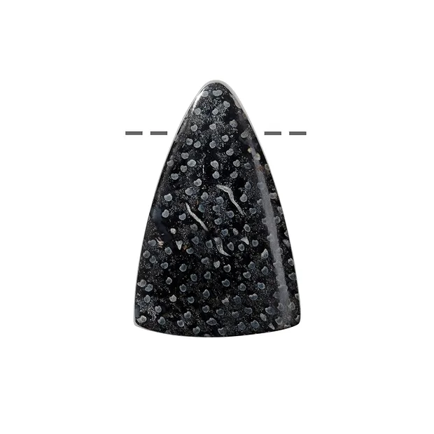 Cabujón Madera de palma petrificada triángulo perforado, 3,2cm | Marco Schreier