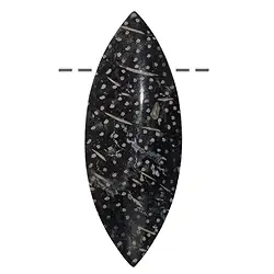 0447495616 Navette breit versteinertes Palmholz gebohrt, 7,0cm | Marco Schreier