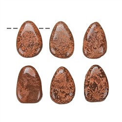 0452793002 Piedra rodada estrella riolita "jaspe estrella" perforada | Marco Schreier