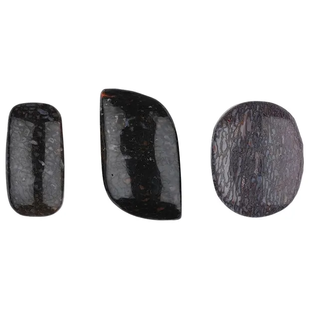 Cabochon dino bone drilled, 2.0 - 3.0 cm | wholesaler gems & healing stones