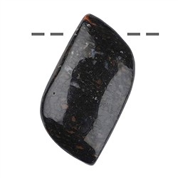 0453095922 Cabochon dino bone drilled, 2.0 - 3.0 cm | wholesaler gems & healing stones