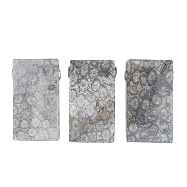 Bloque de coral petrificado, perforado, 4,0 cm, tapones rodinados | Marco Schreier