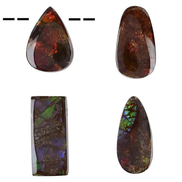 Freeform Ammolith gebohrt, 3,0 - 3,5cm | GH Edelsteine, Heilsteine & Schmuck