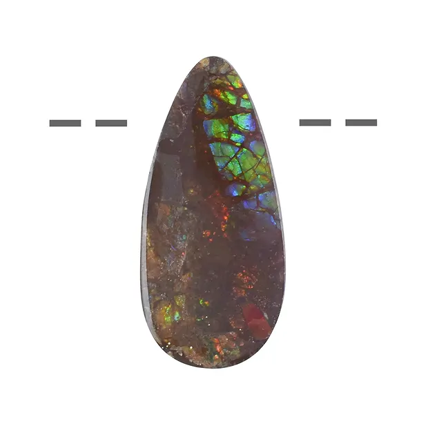 Freeform Ammolite drilled, 3.0 - 3.5cm | wholesaler gems & healing stones