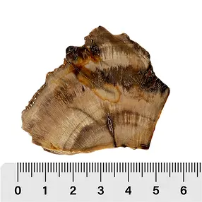 One side polished pieces Madagascar Start-Set 2 (20 pcs./ PU) | Marco Schreier