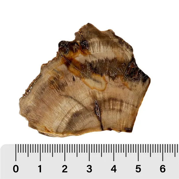 One side polished pieces Madagascar Start-Set 2 (20 pcs./ PU) | Marco Schreier