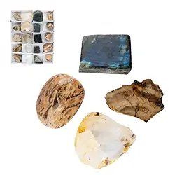 0500000220 One side polished pieces Madagascar Start-Set 2 (20 pcs./ PU) | Marco Schreier