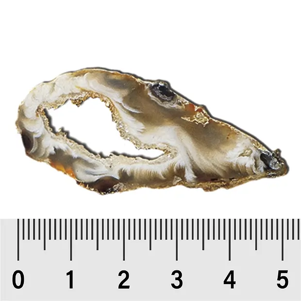 Geode slices 03 - 05cm (10 pcs./ PU) | wholesaler gems, healing stones & jewelry