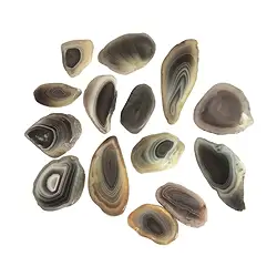 0500105015 Plaques Agate (Botswana), 2,5 - 4,5cm (100 g/UC) | Marco Schreier