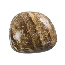 0502327100 Pietra burattata aragonite (marrone), 2,5 - 3,0 cm (UC) | Marco Schreier