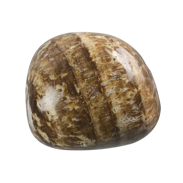 Pietra burattata aragonite (marrone), 2,5 - 3,0 cm (UC) | Marco Schreier