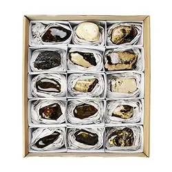 0503609002 One side polished piece Amber (Sumatra), 8,0cm (15 pcs./ PU) | Marco Schreier