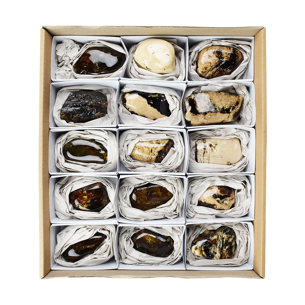 Taglio Ambra (Sumatra), 8,0cm (15 pz./ UC) | grossista gemme e pietre curative