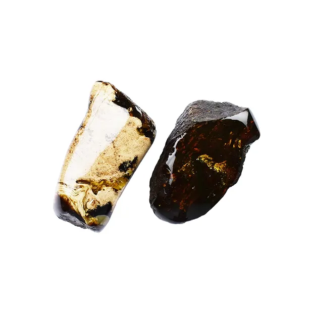 Pièces polies d'Ambre (Sumatra), 6,0 - 7,5cm (20 pcs/UC) | Marco Schreier